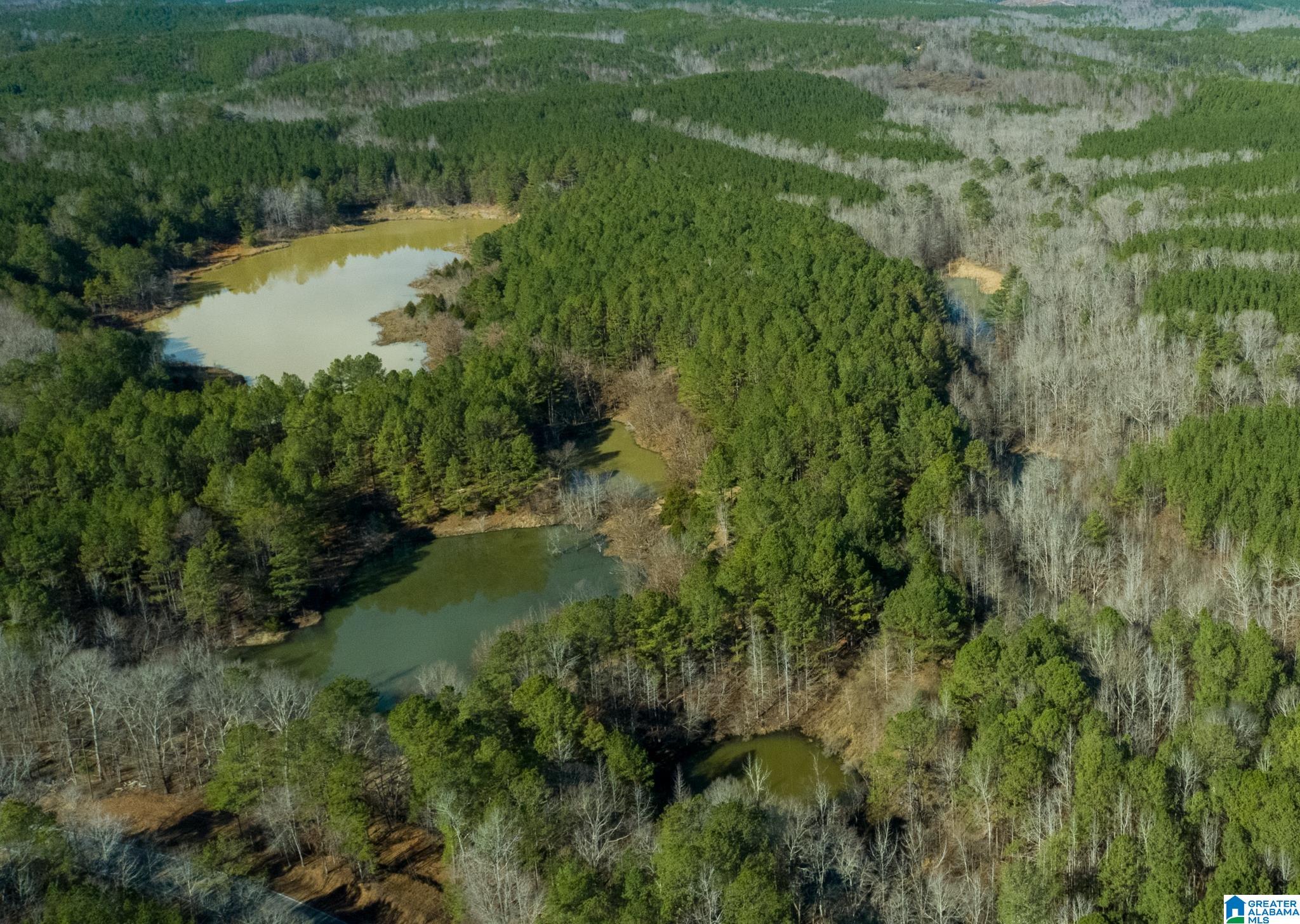 Photo 1 of 10 — COUNTY ROAD 44 1, BRILLIANT, AL 35548