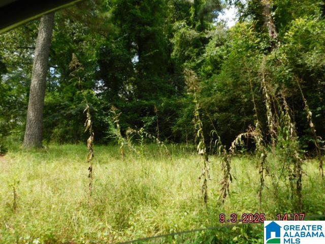 4908 BRANCHVILLE ROAD 15