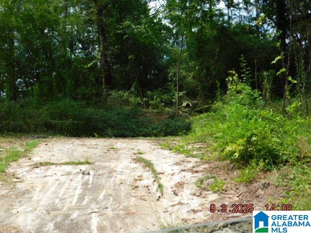 4908 BRANCHVILLE ROAD 15
