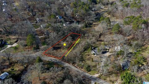 6944 OLD SPRINGVILLE ROAD 1 PINSON AL 35126