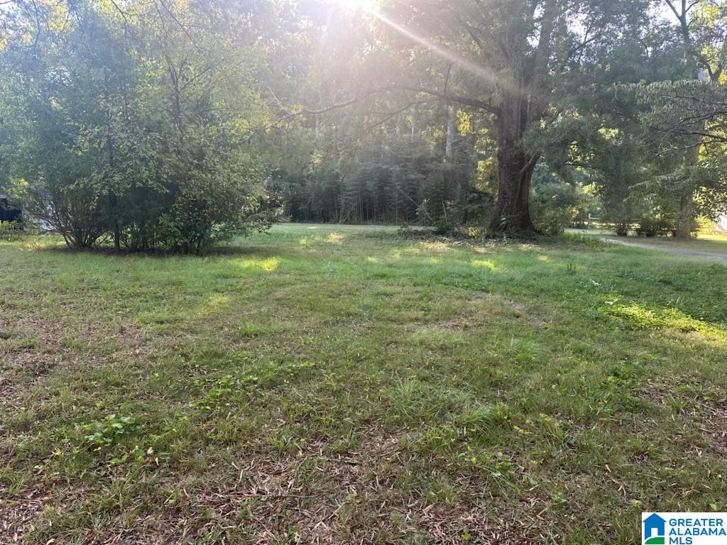 5453 OLD SPRINGVILLE ROAD