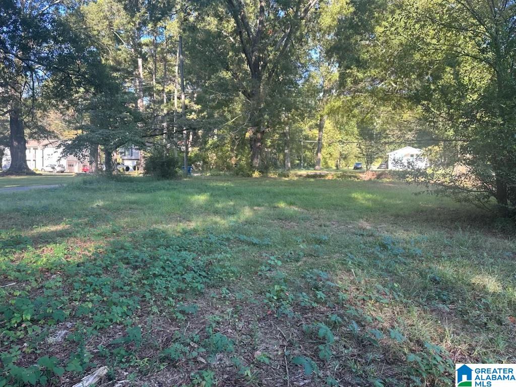 5453 OLD SPRINGVILLE ROAD