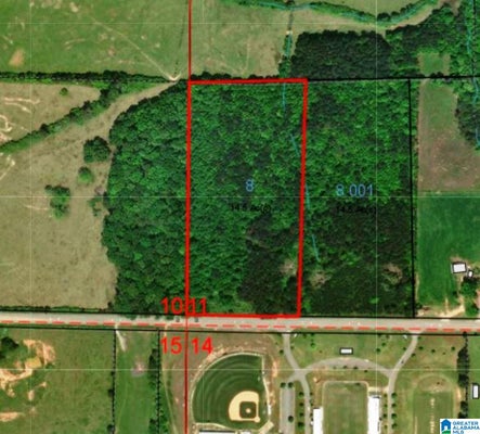 TAYLOR RD, LINEVILLE, AL 36266 - Image e267fe2bafd13b01f4f02c0d10ac96d9/3472093709