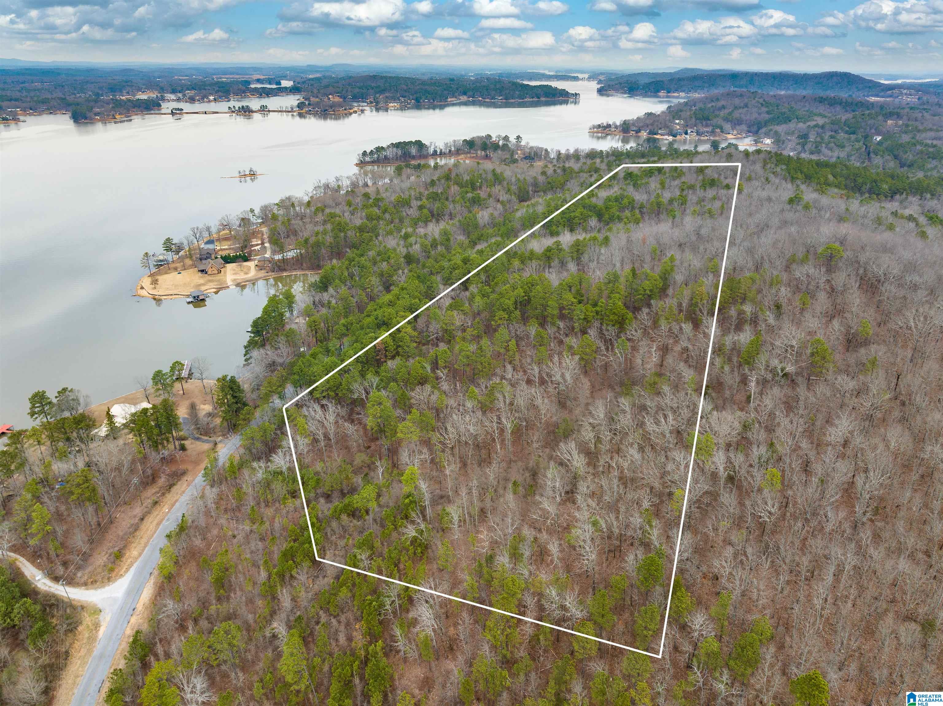 34 Acres- Mtn CONSTELLATION DRIVE 34+ Acres-Mtn Tract ONE
