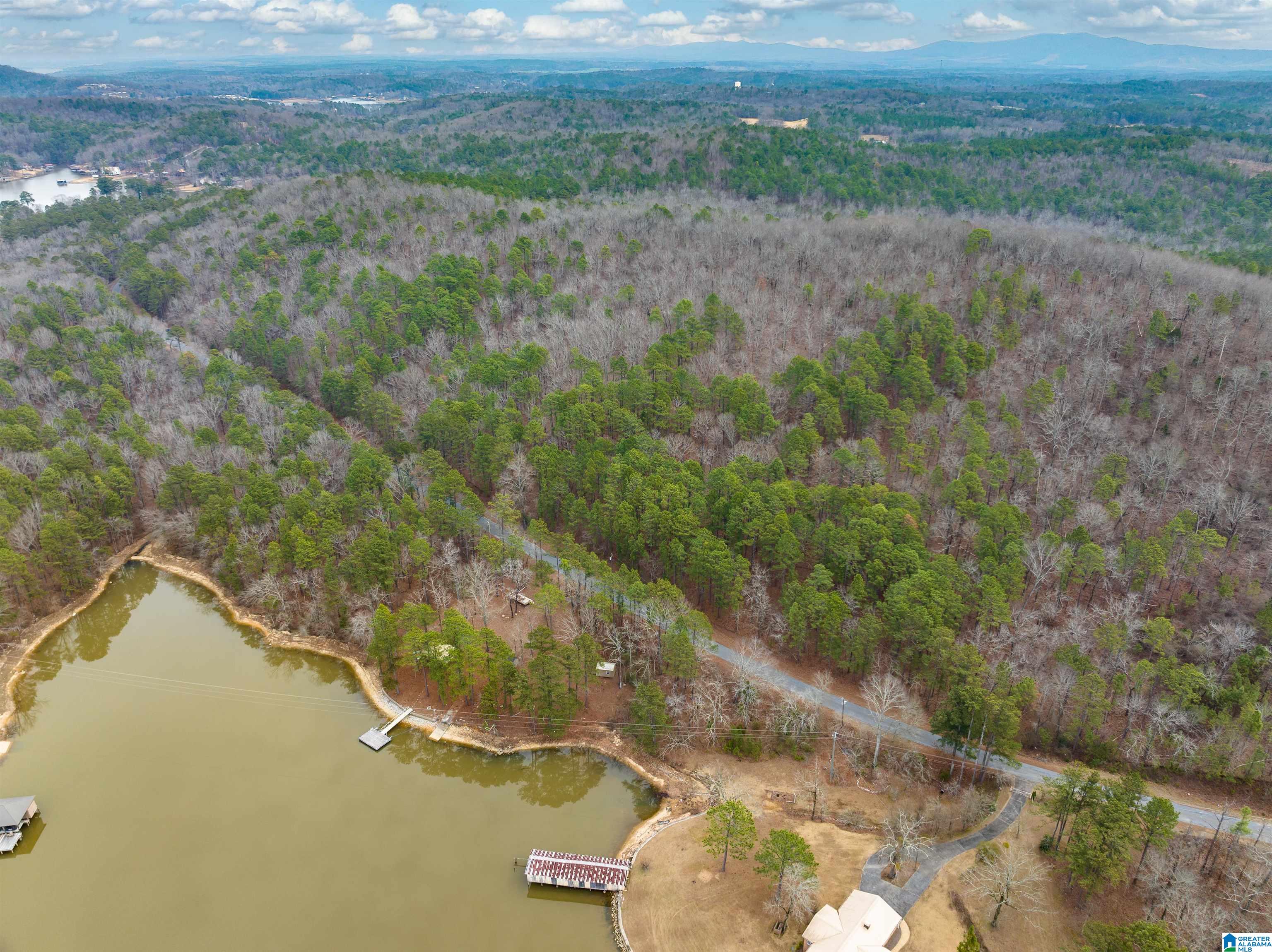 34 Acres- Mtn CONSTELLATION DRIVE 34+ Acres-Mtn Tract ONE