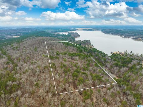 34 Acres- Mtn CONSTELLATION DRIVE 34+ Acres-Mtn Tract ONE ALPINE AL 35014