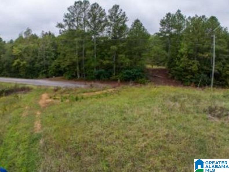 00 COUNTY ROAD 99 0