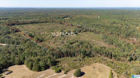 226 HICKS HILL None LAWLEY AL 36793