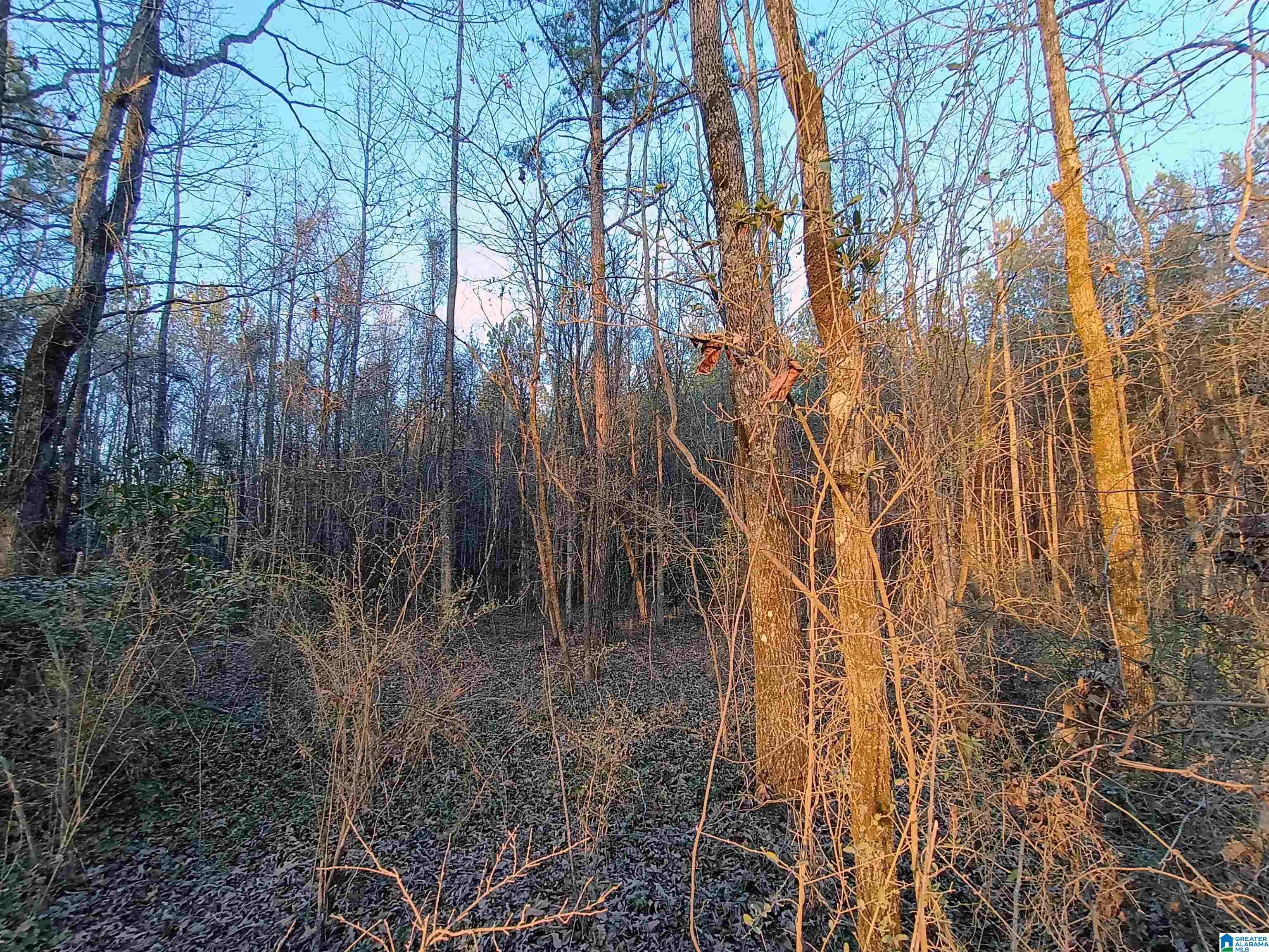 00 ZUBERS ROAD 0 - Photo 3
