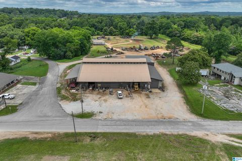 451 MILL STREET CENTREVILLE AL 35042