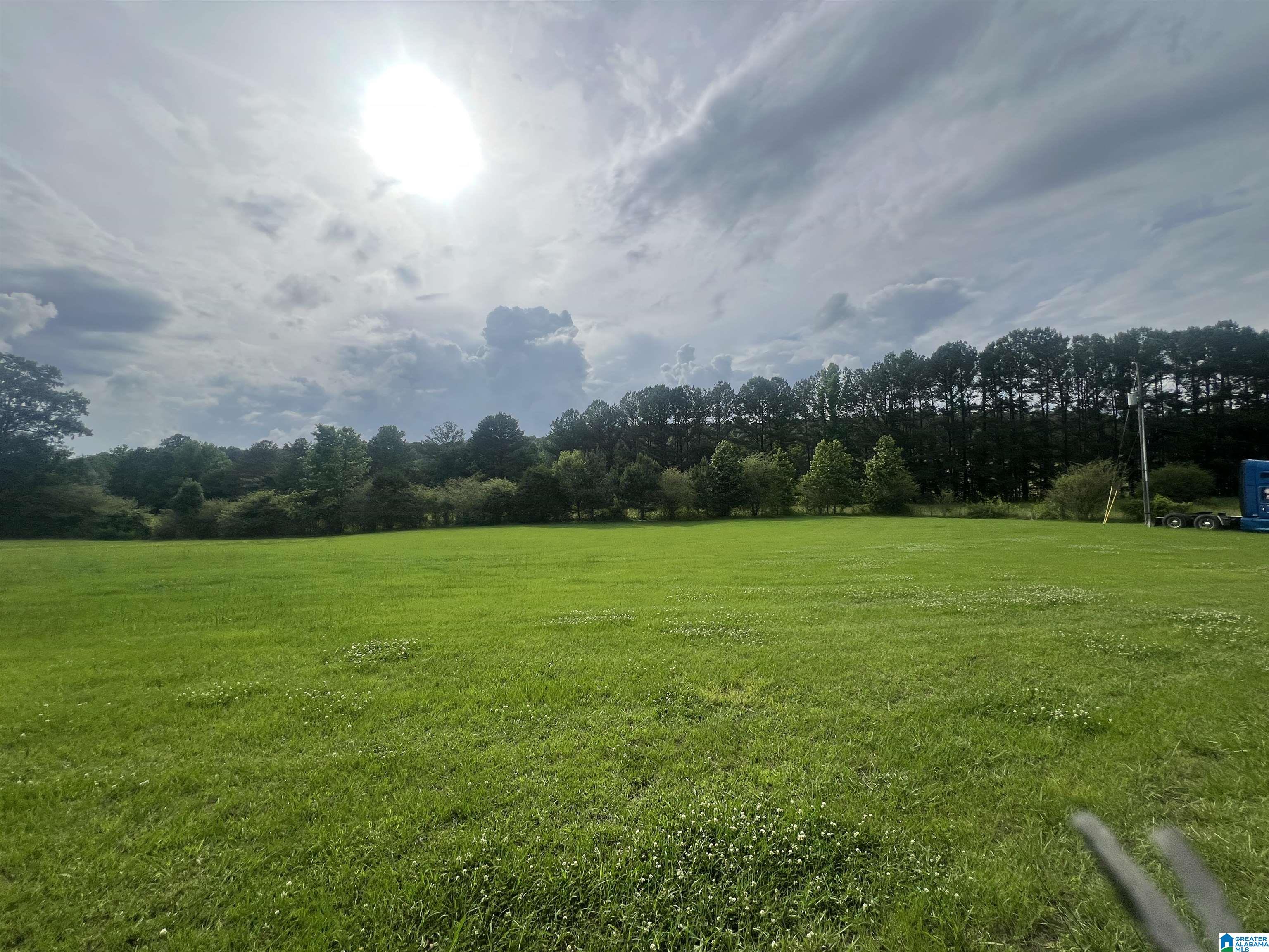 13100 ALABAMA HIGHWAY 174