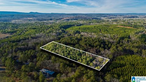 90 STEVENS DRIVE - PELL CITY AL 35128