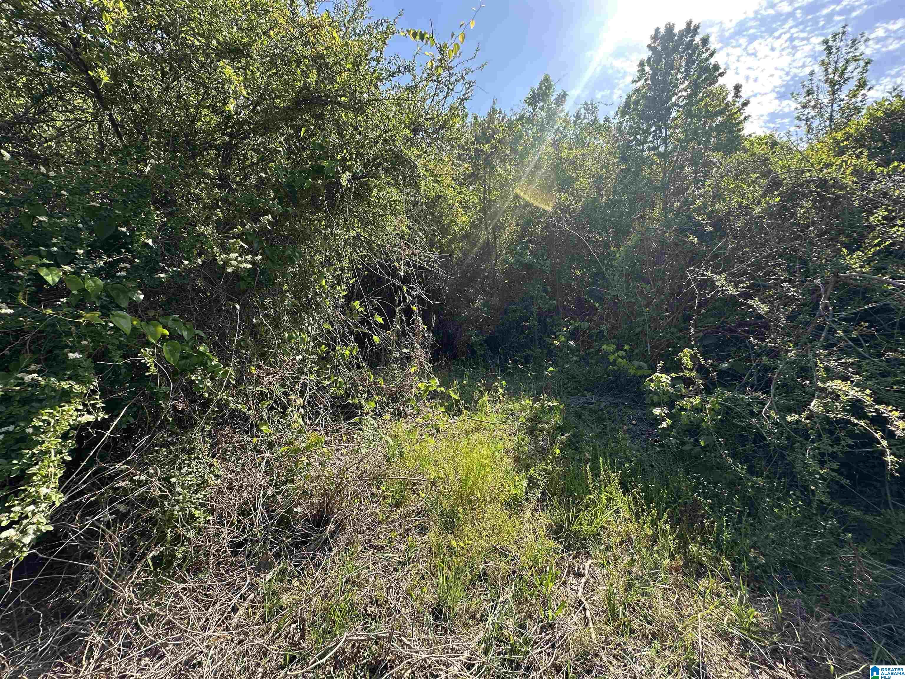 13181 E CAPITOL DRIVE NA
