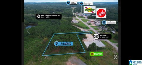 6127 HIGHWAY 269 PARRISH AL 35580