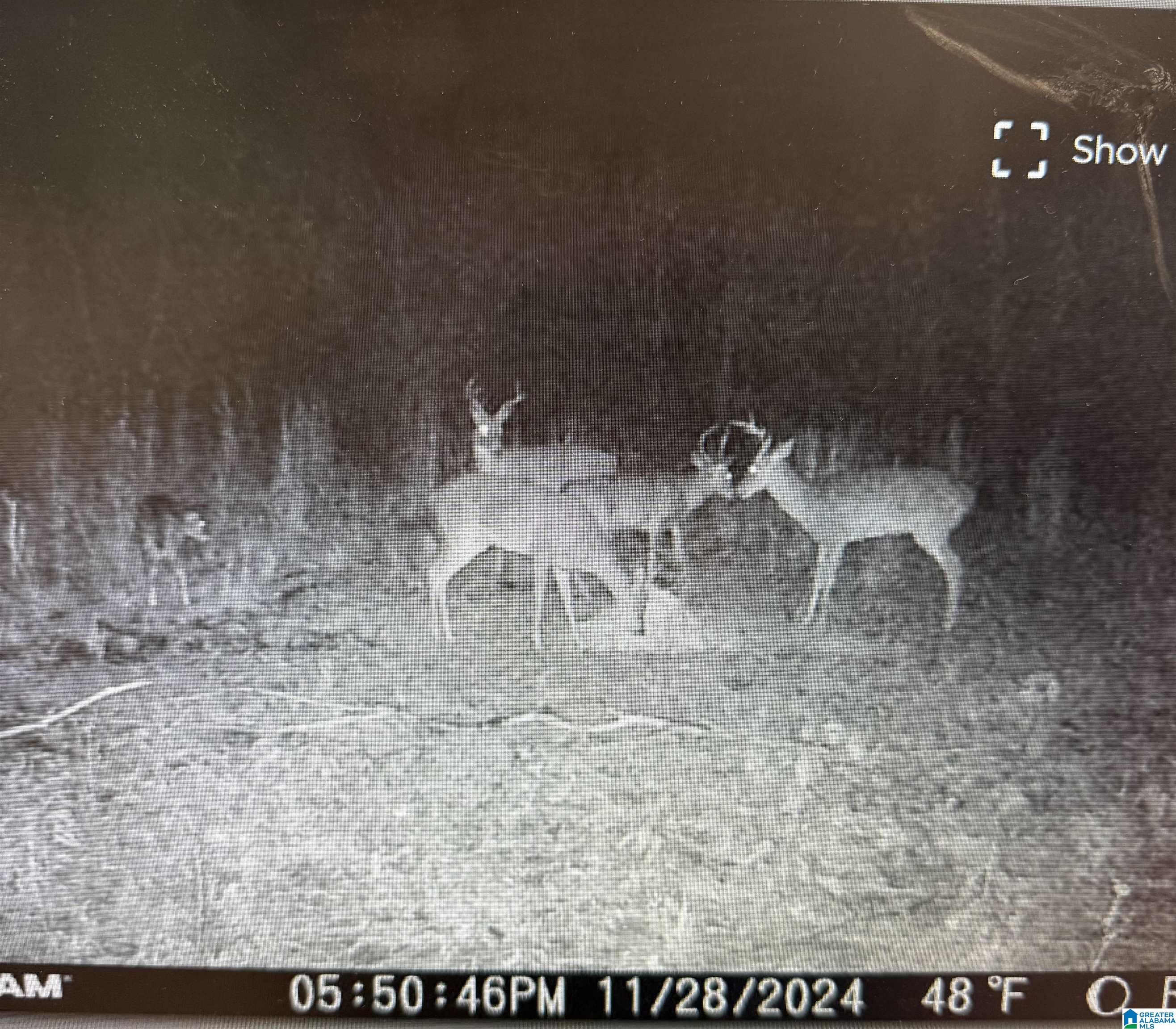 0 HIDDEN HOLLOW ROAD 0