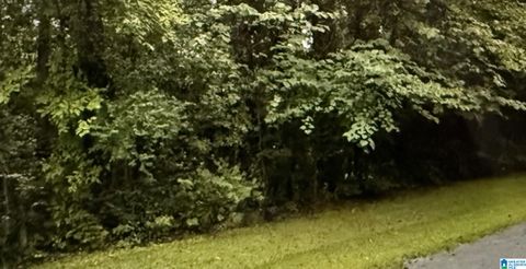 LOT 31 CANAL STREET LOT 31 CHILDERSBURG AL 35044