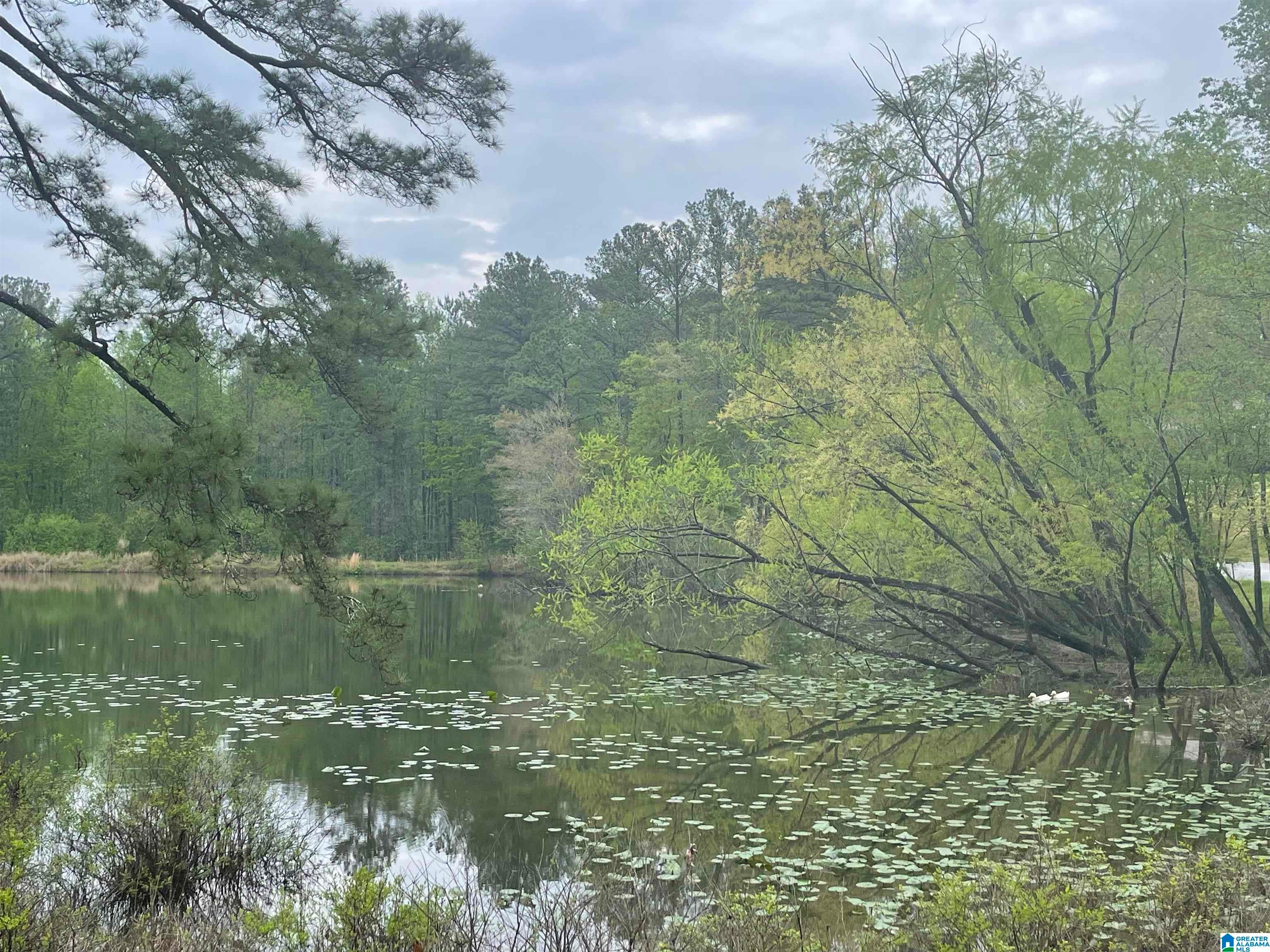 4579 CABIN ROAD 5