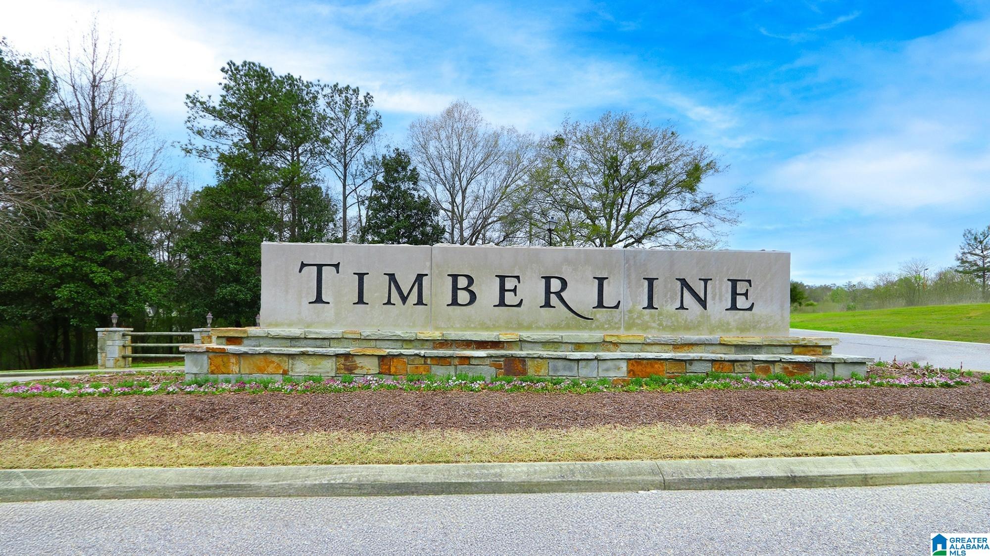 1163 TIMBERLINE RIDGE