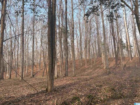 000002 TRUMAN ALDRICH PARKWAY 100 WEST BLOCTON AL 35184