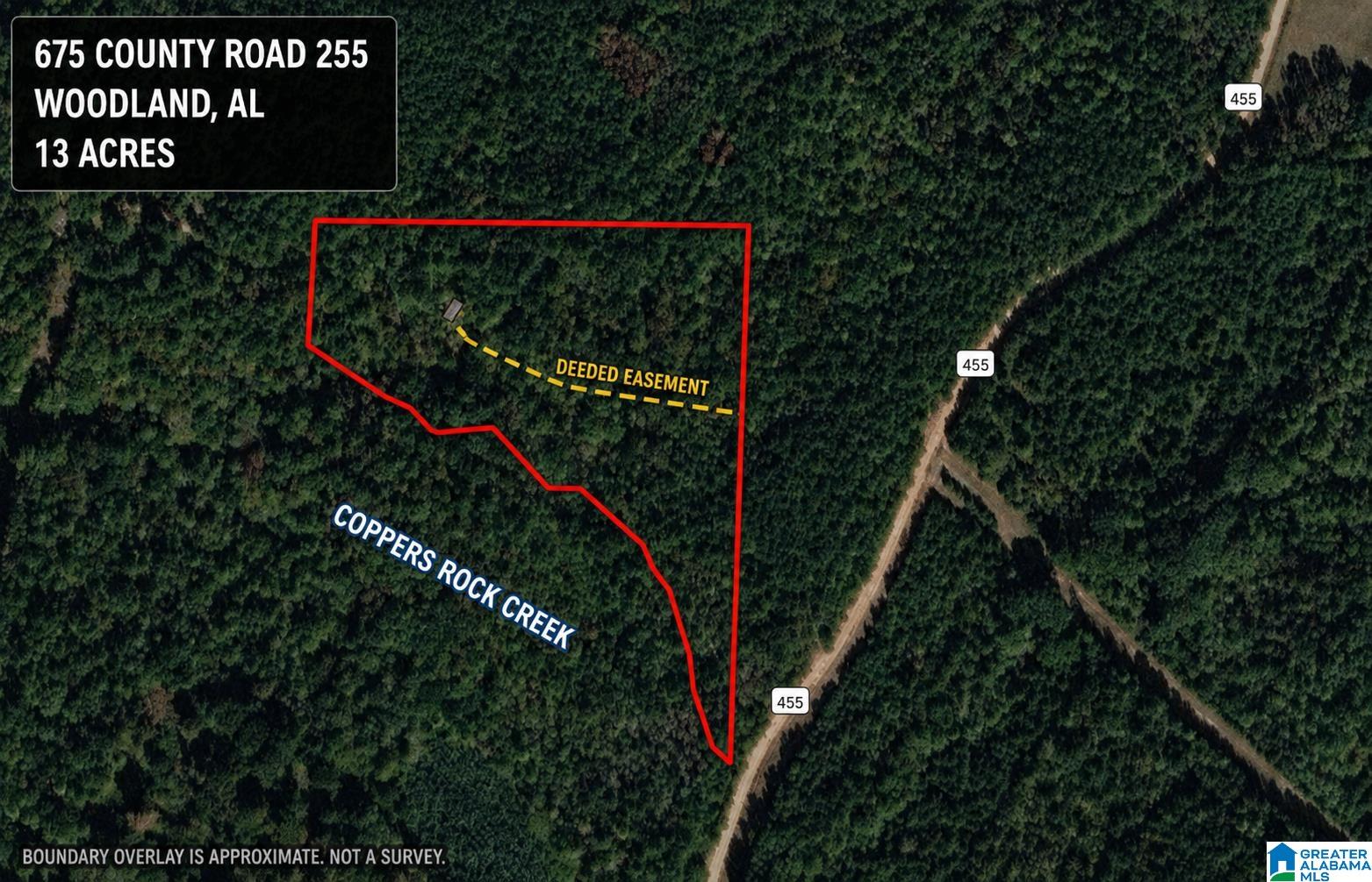 675 COUNTY ROAD 455 675