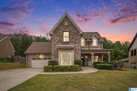 172 LAKE CHELSEA DRIVE CHELSEA AL 35043