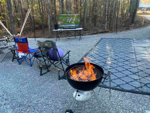 2370 COUNTY ROAD 32 Lot 1 COLUMBIANA AL 35114