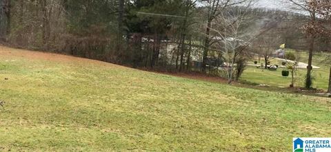 127 AMANDA DRIVE 5 VINCENT AL 35178