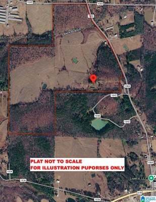 215 COUNTY ROAD 1041 # 0, CULLMAN, AL 35057 - Image e5233acf033f7d0e417f7d7c40a40bb4/551007849