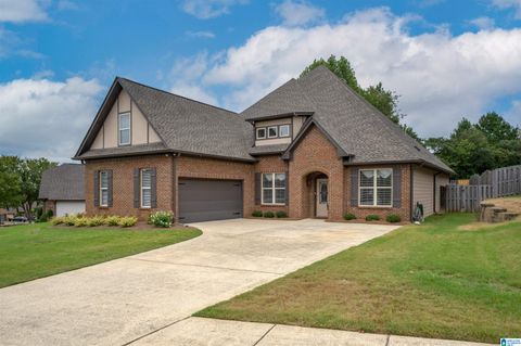 1255 MOUNTAIN LANE GARDENDALE AL 35071