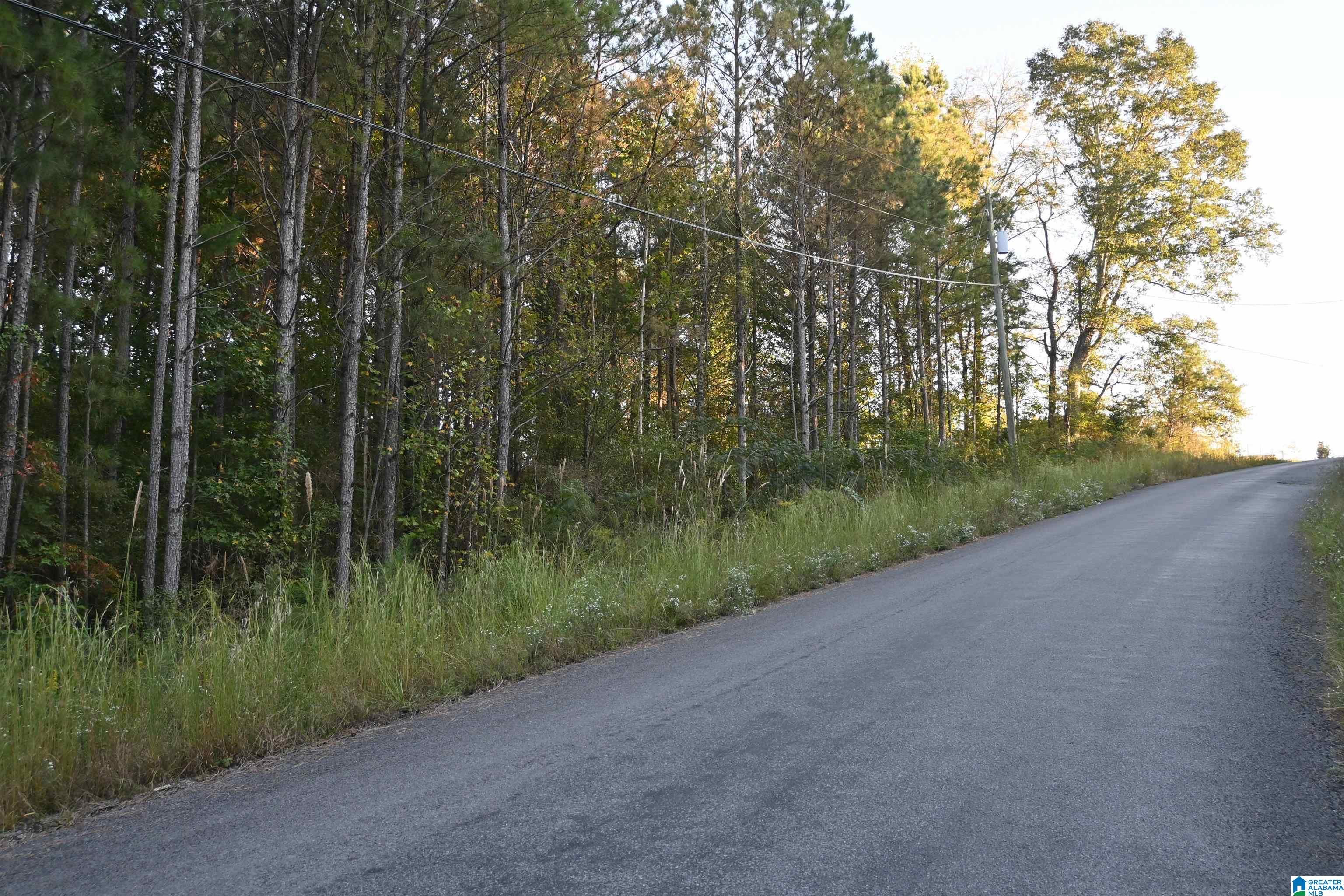 WILLOWBROOK COURT Lot 22
