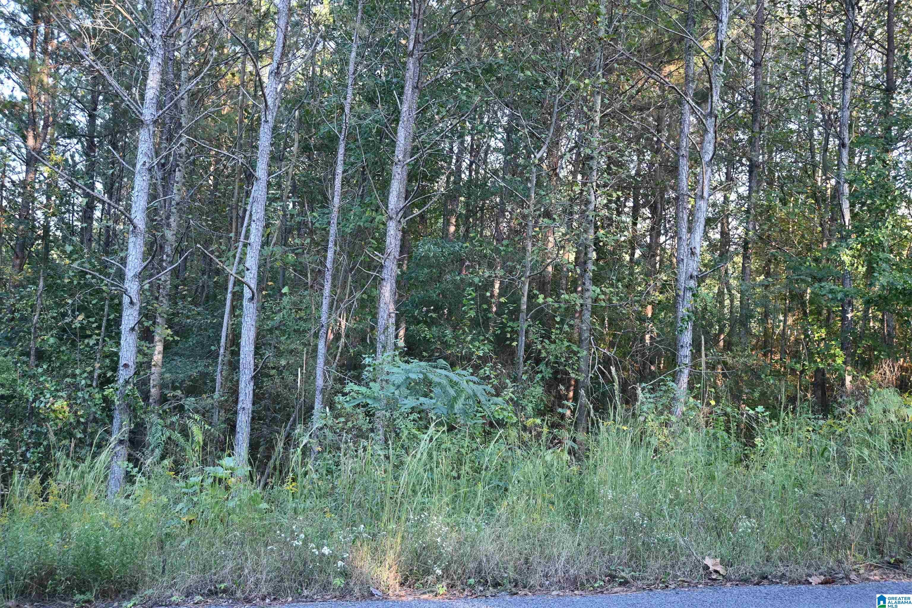 WILLOWBROOK COURT Lot 22