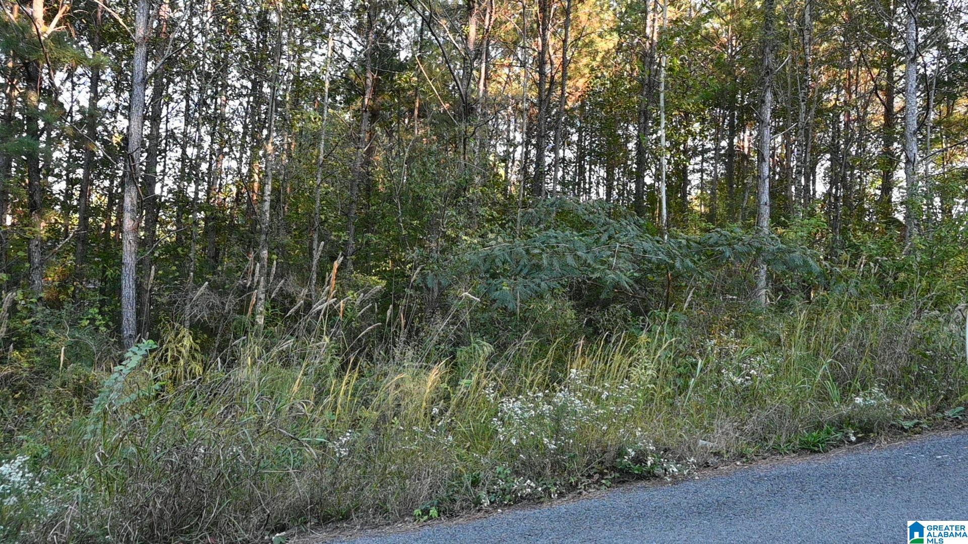 WILLOWBROOK COURT Lot 22