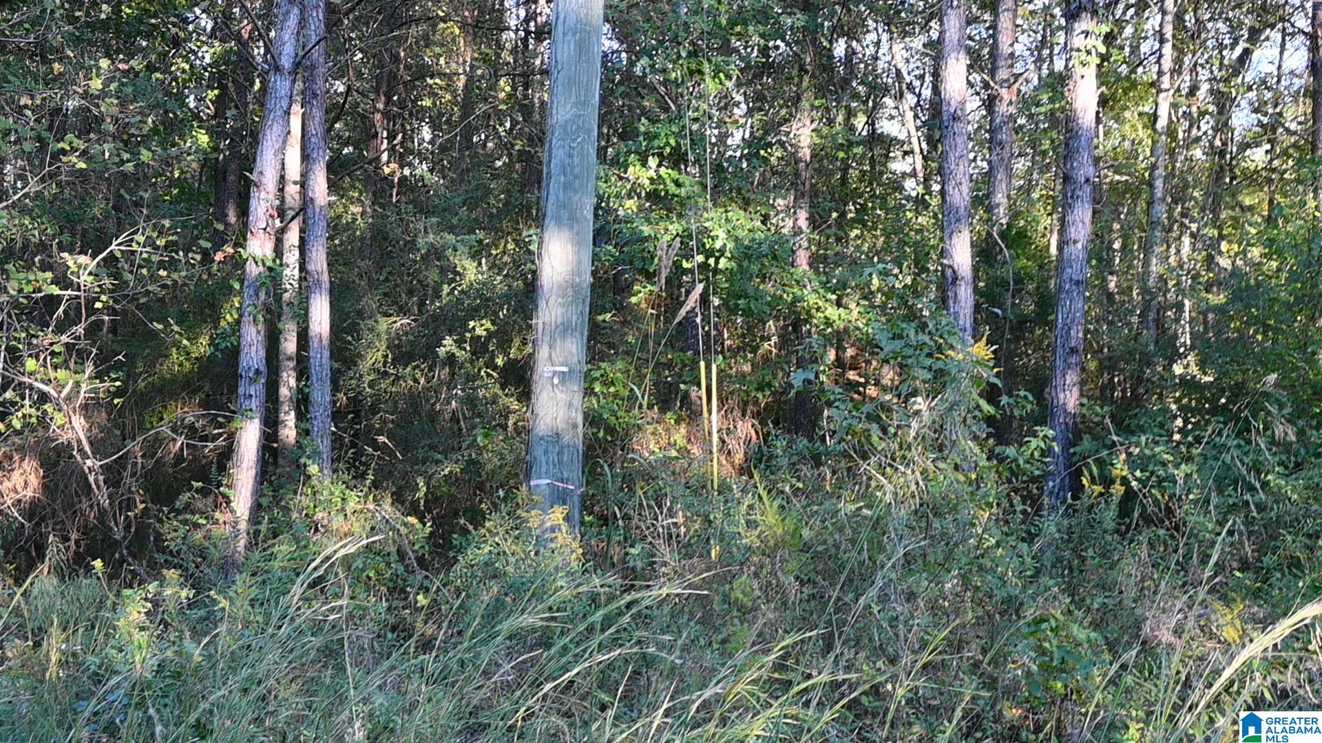 WILLOWBROOK COURT Lot 22
