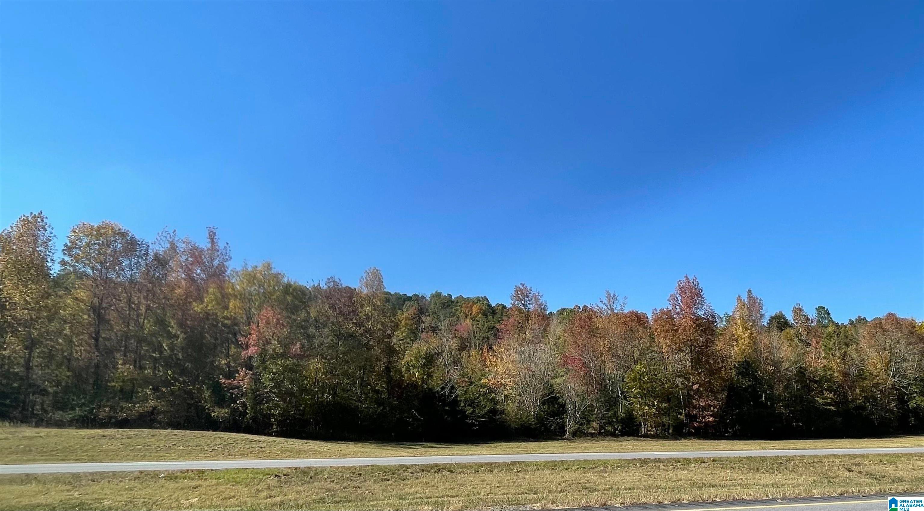 Lot #4 HIGHWAY 75 4