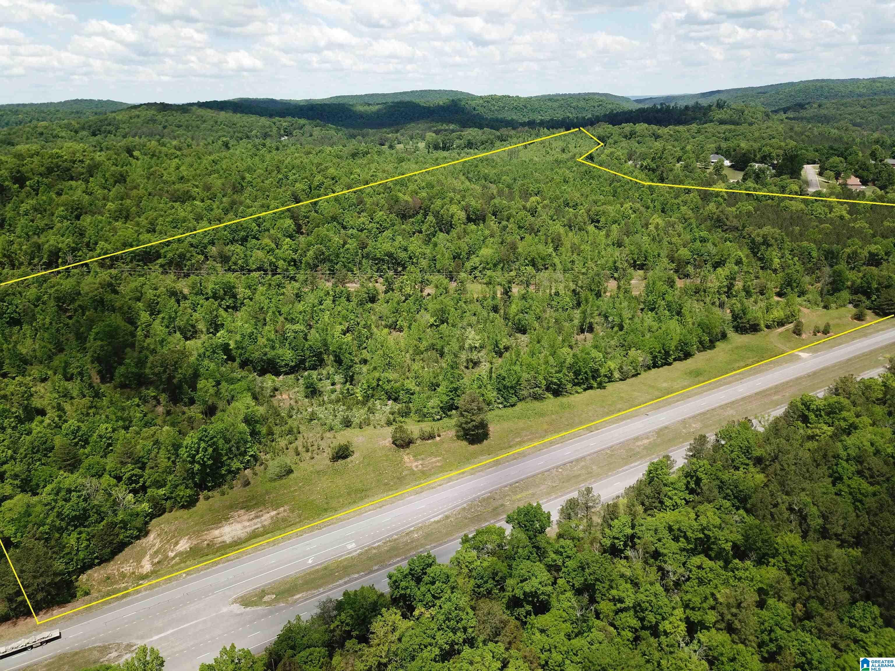 Lot #4 HIGHWAY 75 1