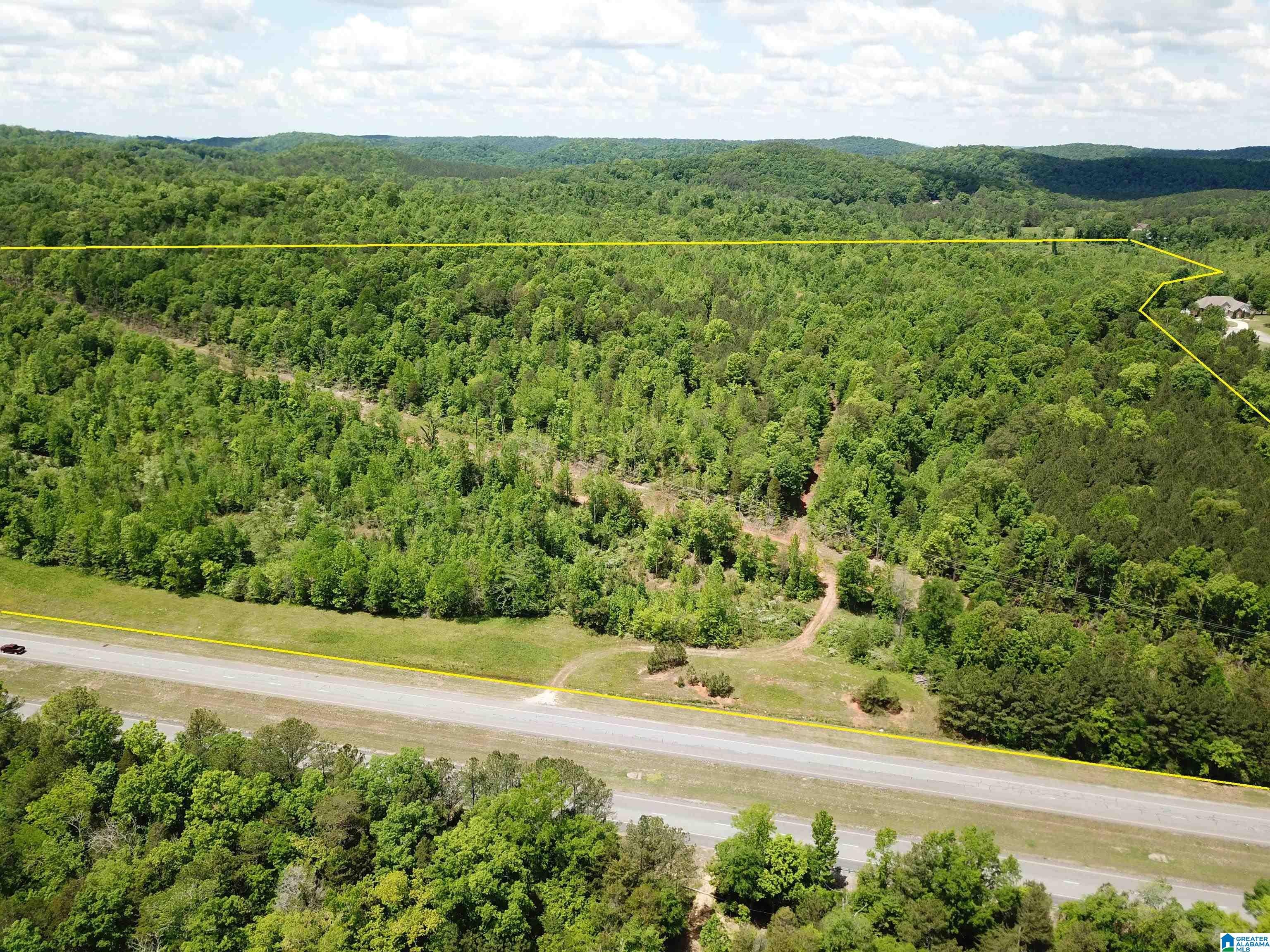 Lot #4 HIGHWAY 75 1
