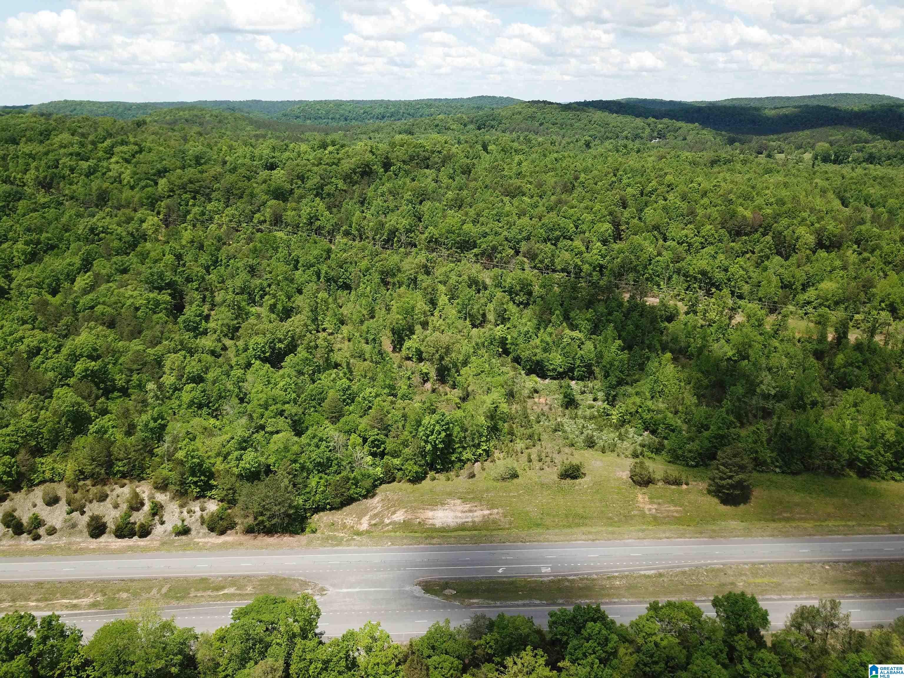 Lot #4 HIGHWAY 75 1