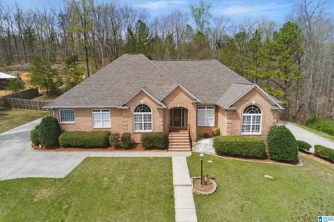 2840 VILLAGE SPRINGS ROAD SPRINGVILLE AL 35146
