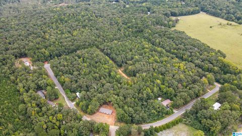 442 DAVIS STREET 19.2 acres WILSONVILLE AL 35186