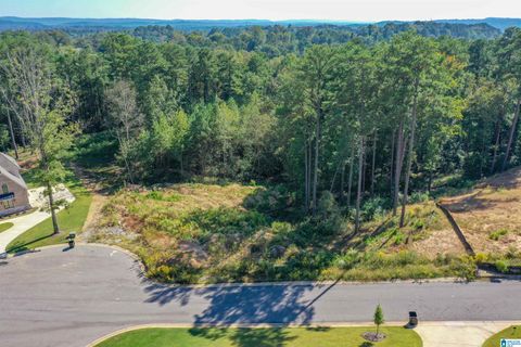 3833 MOSS CREEK CIRCLE 7 MOUNTAIN BROOK AL 35223
