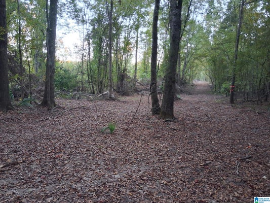 150 HARTS FERRY ROAD # 1, OHATCHEE, AL 36271 - Image e6f9e88c2bd28fe3b457d52c7ed81bb3/2770082731