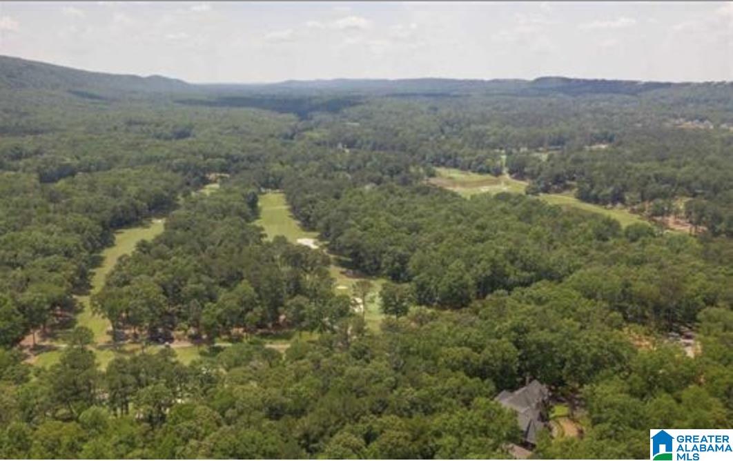 Photo 1 of 1 — 6 INNISBROOK LANE 195B, BIRMINGHAM, AL 35242