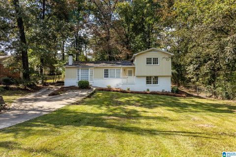 2344 3RD WAY NE CENTER POINT AL 35215