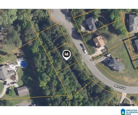 1513 MITCH LANE 18 ALABASTER AL 35007