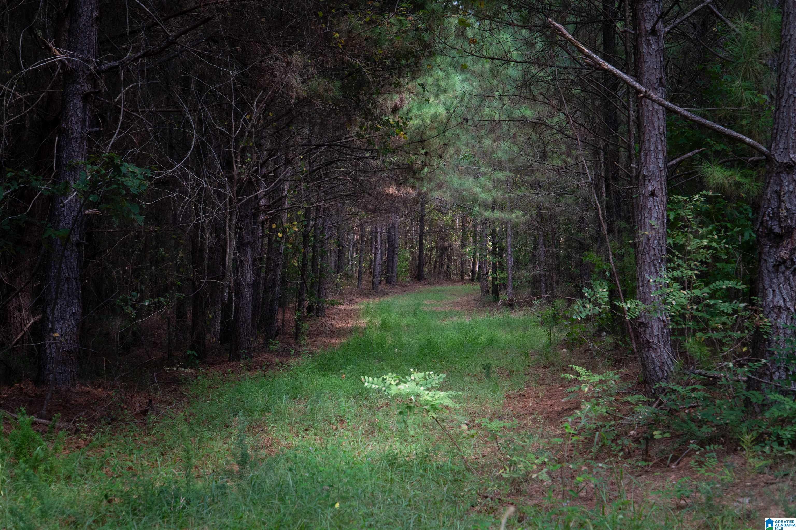 0 COUNTY ROAD 87 3