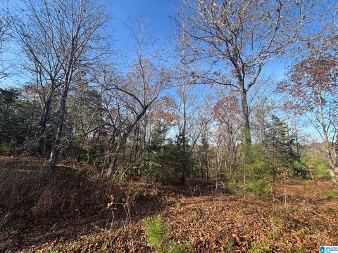 0 SMITH LANE 0 TALLADEGA AL 35160