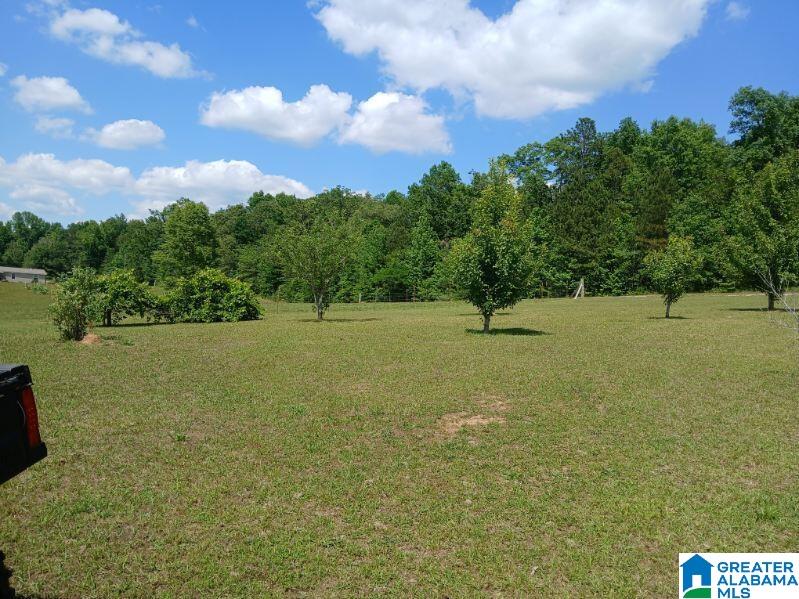255 NEW COUNTY LINE ROAD 0