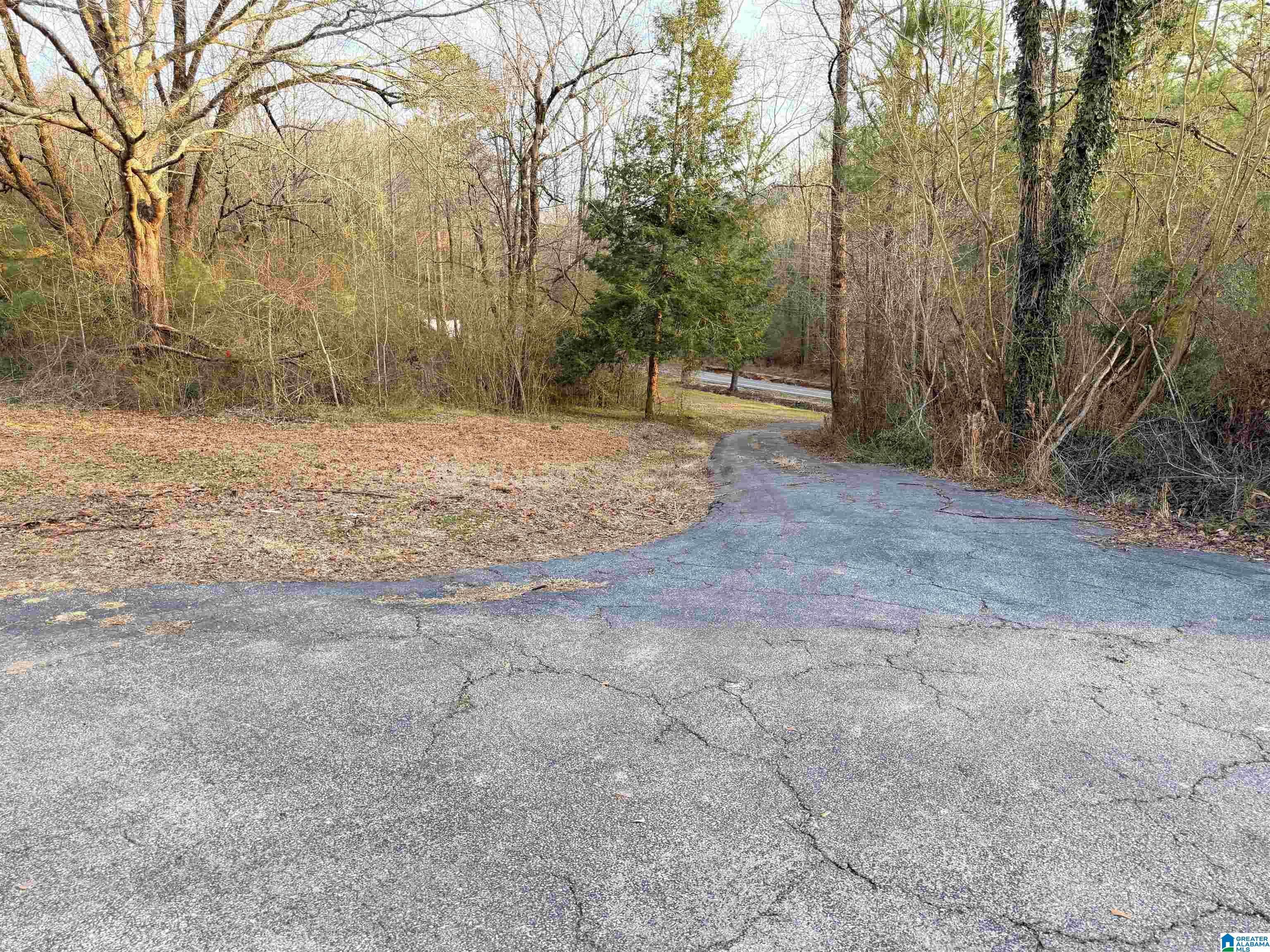 5134 DUG HOLLOW ROAD