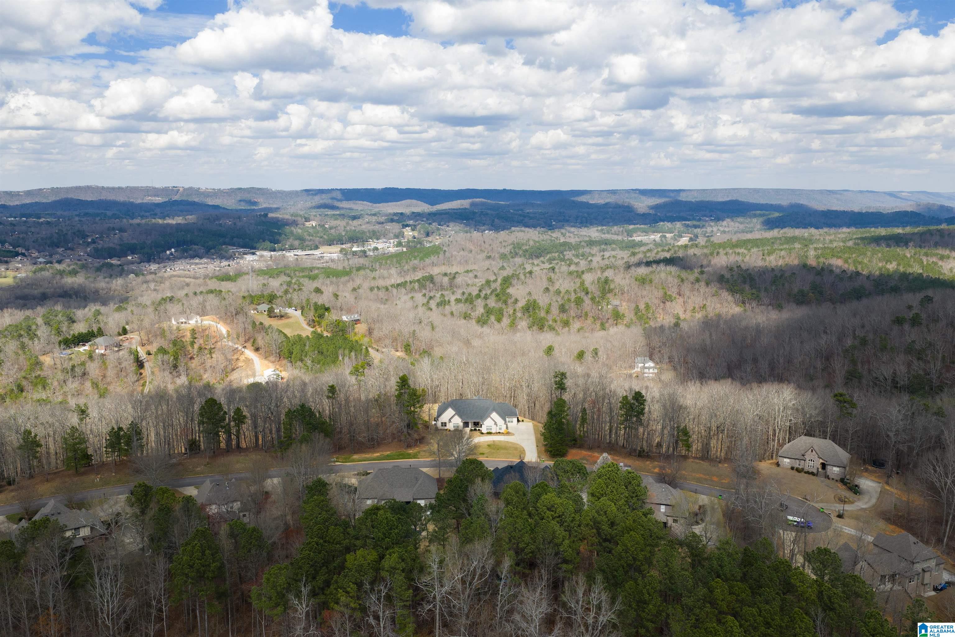 247 MIDDLE RIDGE TRAIL