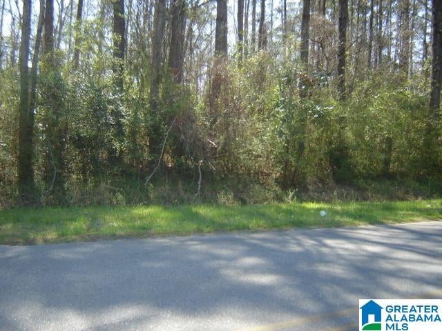 Photo 1 of 2 — 00 S 7TH STREET 1, CLANTON, AL 35045